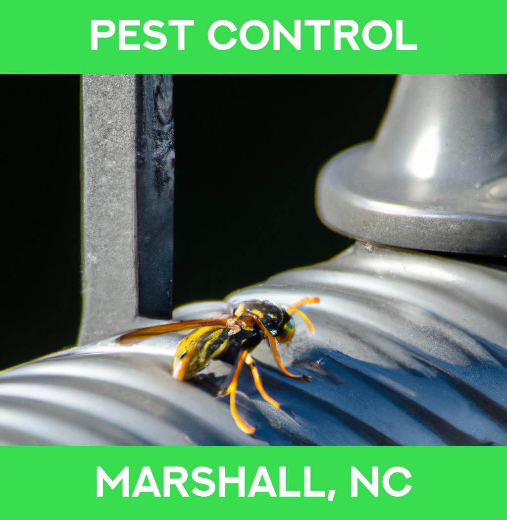 pest control in Marshall North Carolina