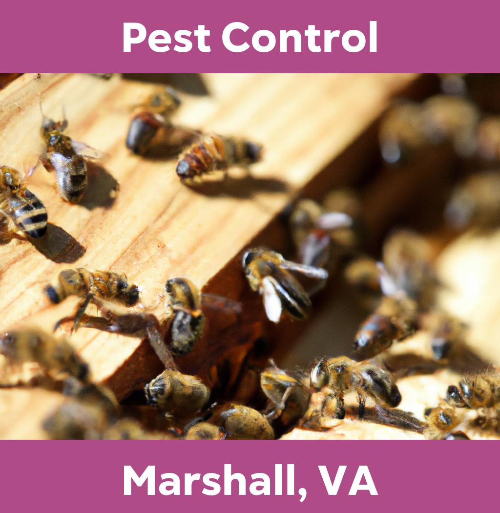 pest control in Marshall Virginia