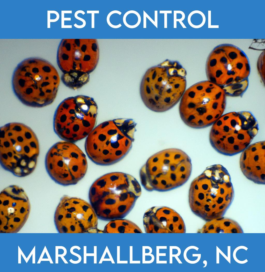 pest control in Marshallberg North Carolina