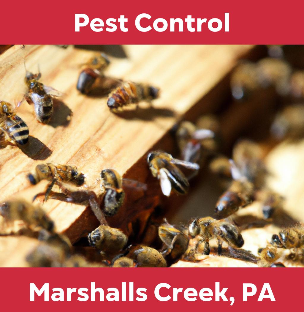 pest control in Marshalls Creek Pennsylvania
