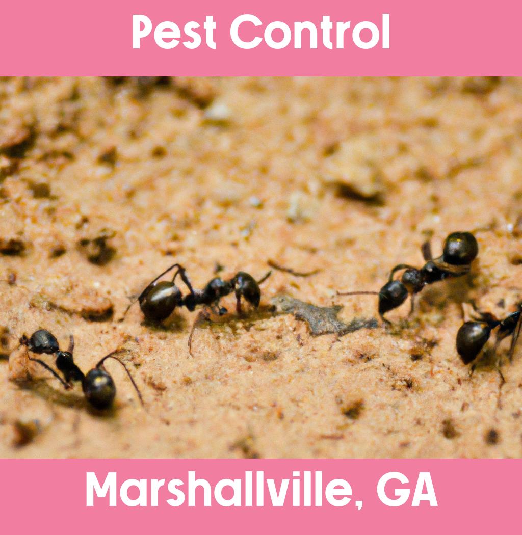 pest control in Marshallville Georgia