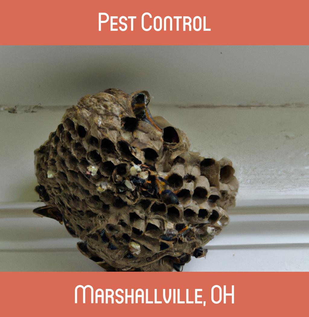 pest control in Marshallville Ohio