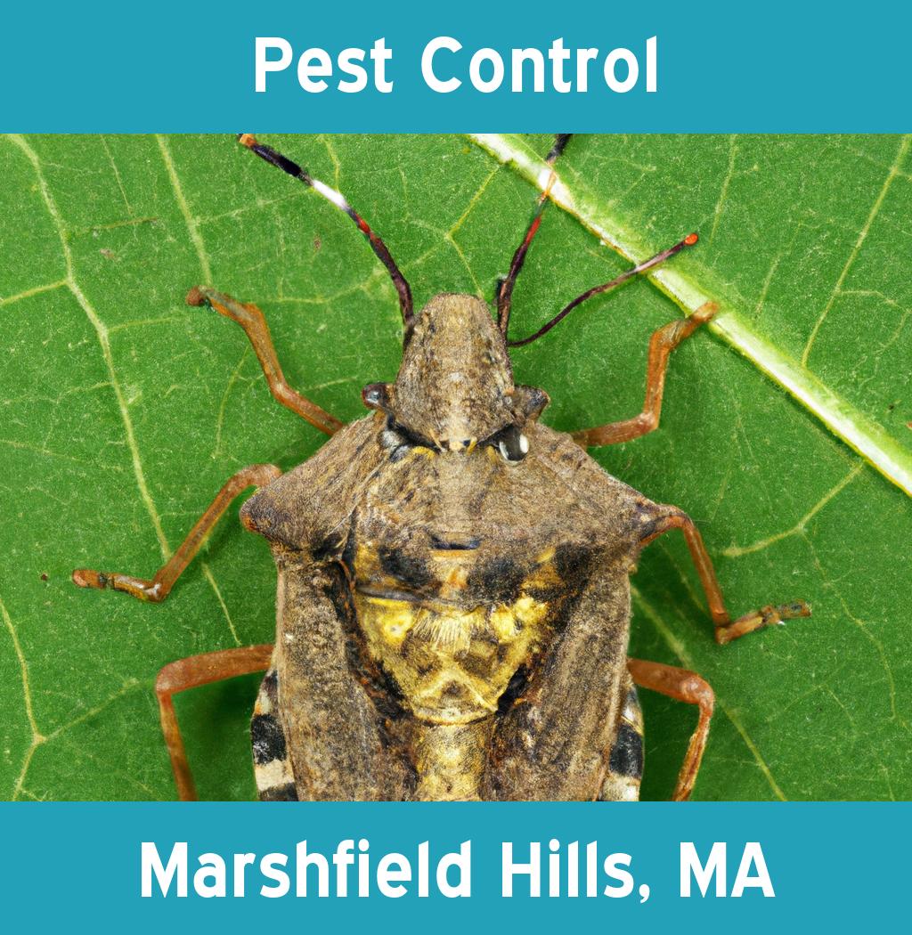 pest control in Marshfield Hills Massachusetts