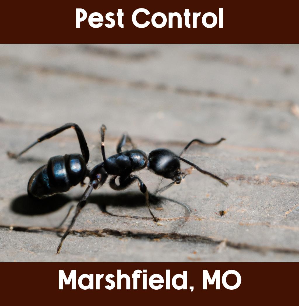 pest control in Marshfield Missouri