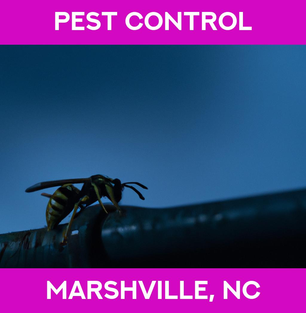 pest control in Marshville North Carolina