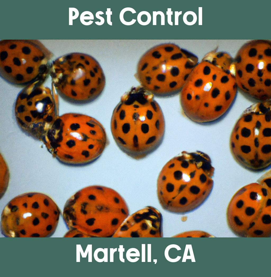 pest control in Martell California
