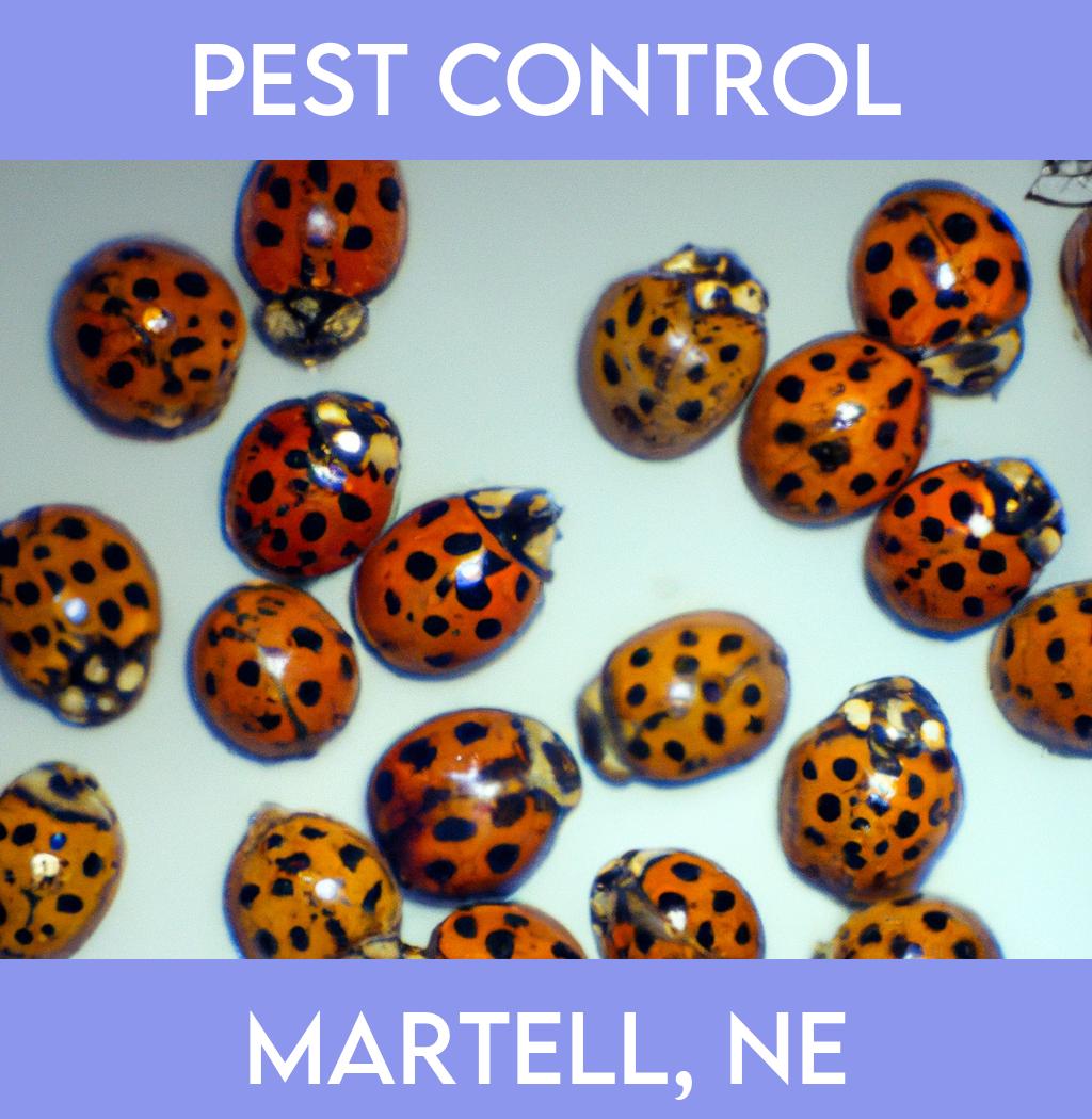 pest control in Martell Nebraska