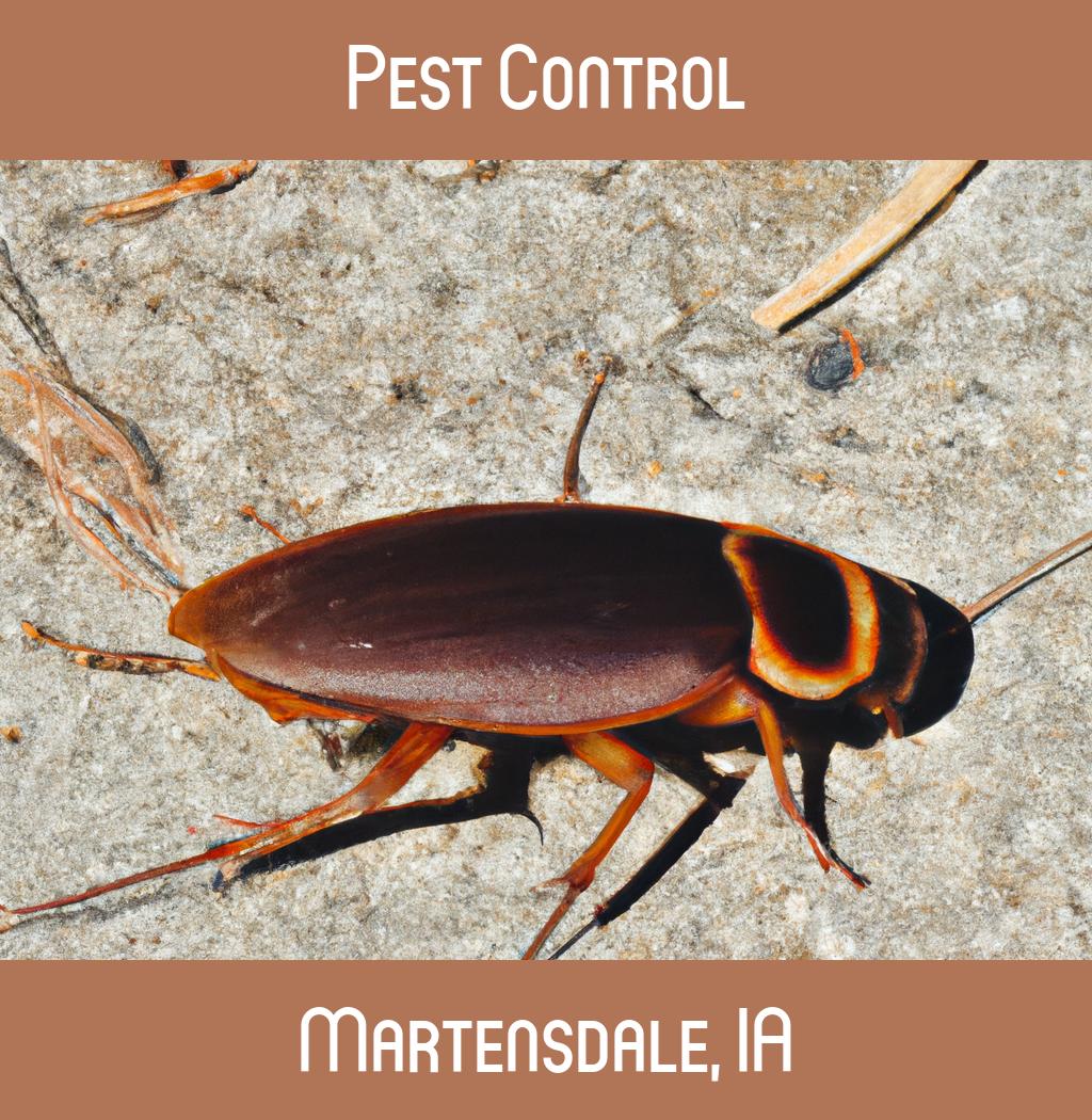pest control in Martensdale Iowa