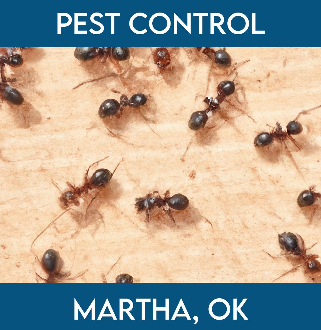 pest control in Martha Oklahoma