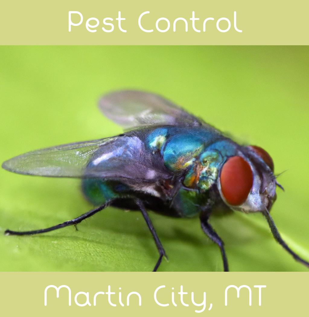pest control in Martin City Montana