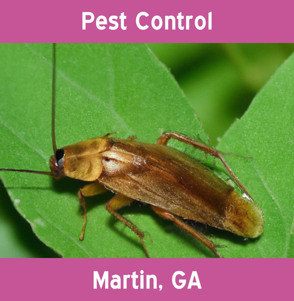 pest control in Martin Georgia