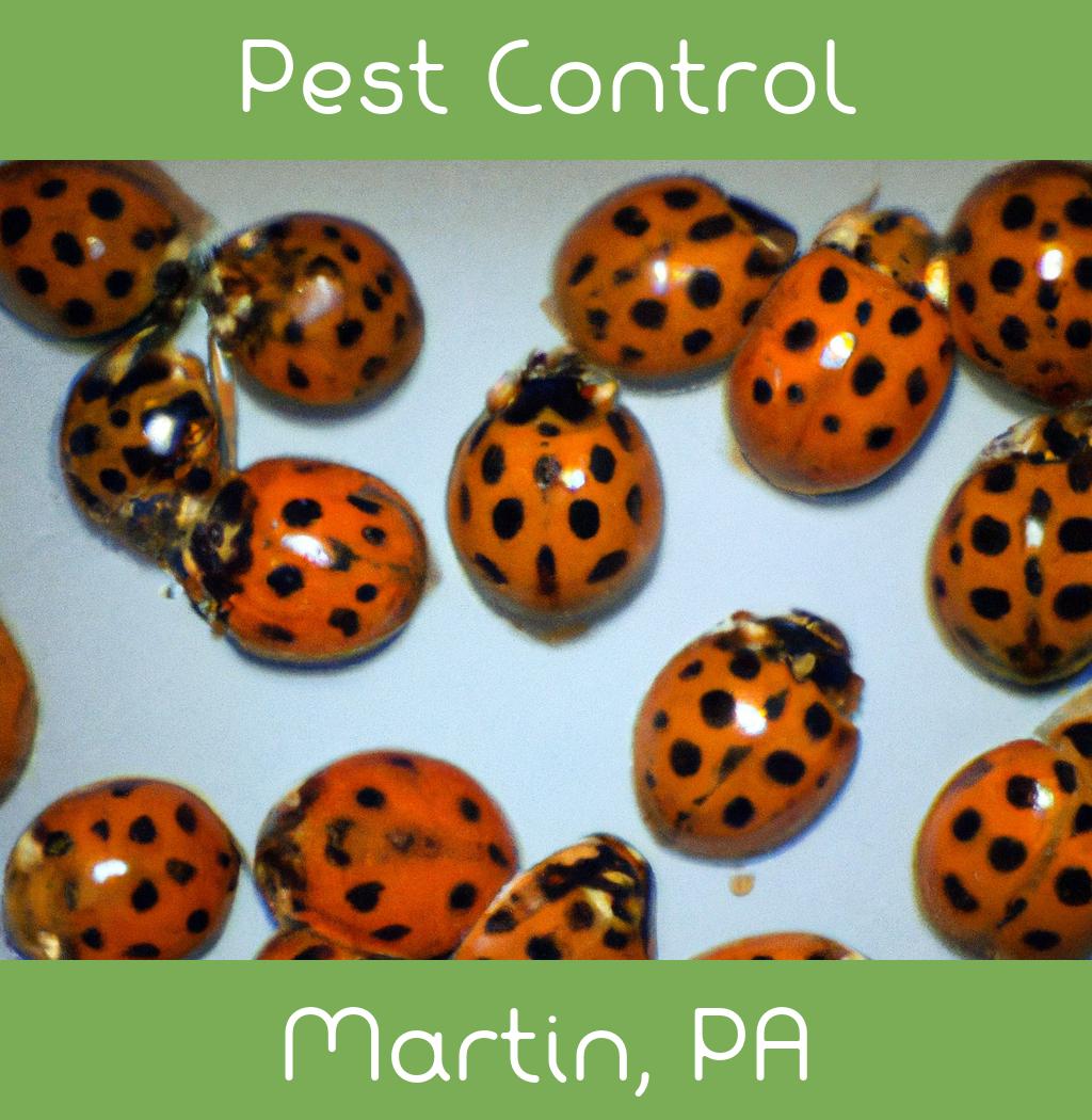 pest control in Martin Pennsylvania