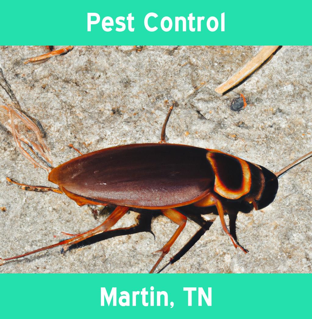 pest control in Martin Tennessee