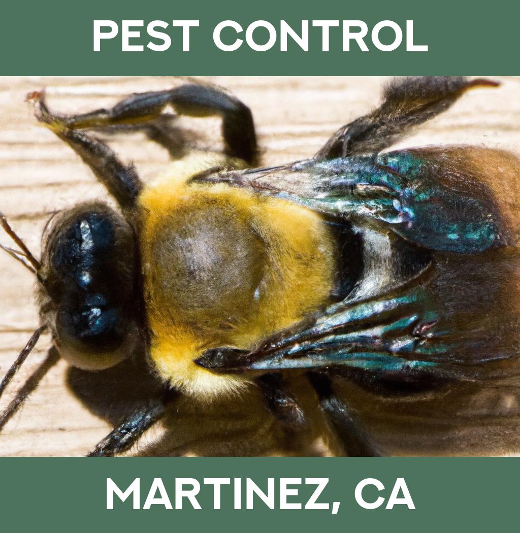 pest control in Martinez California