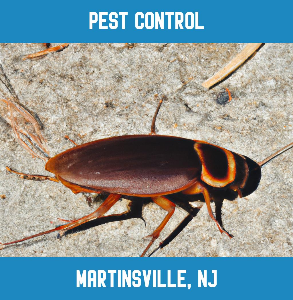 pest control in Martinsville New Jersey