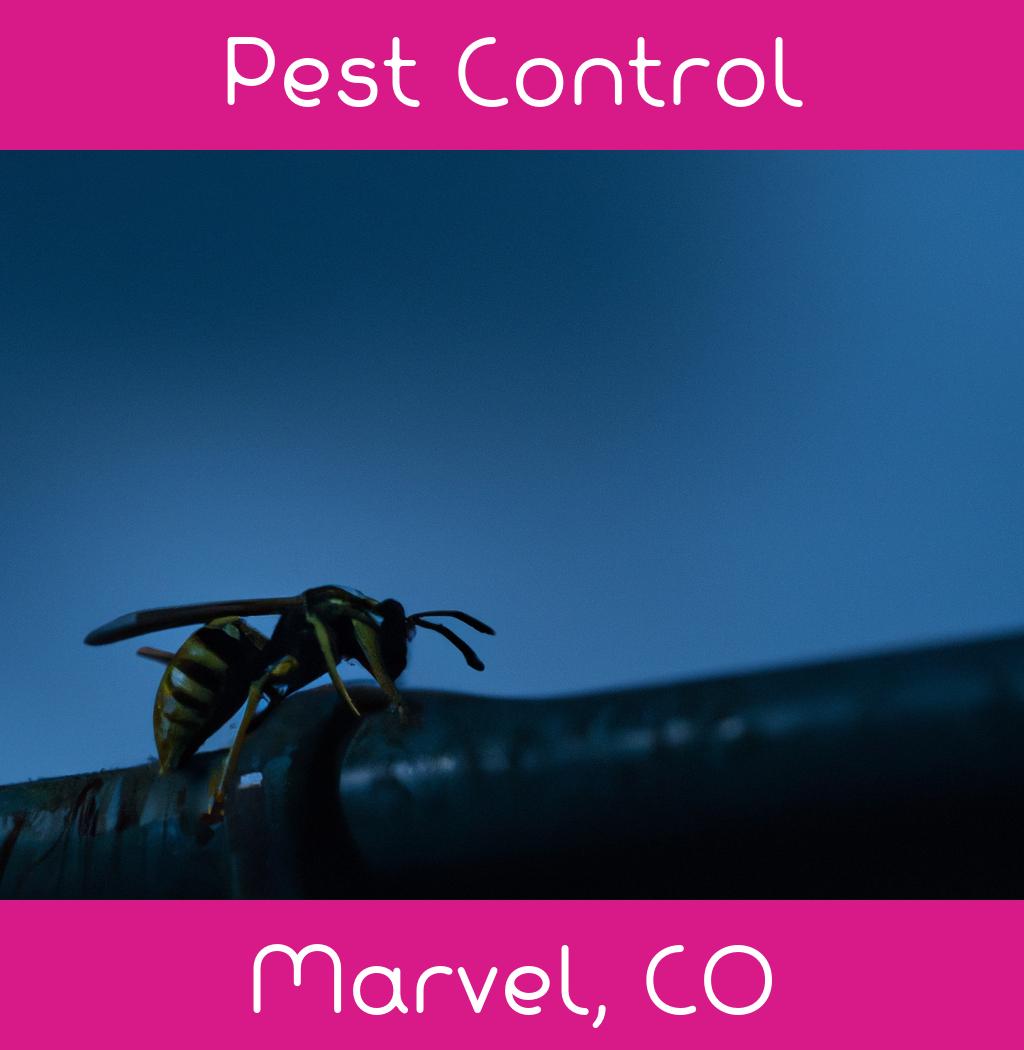 pest control in Marvel Colorado