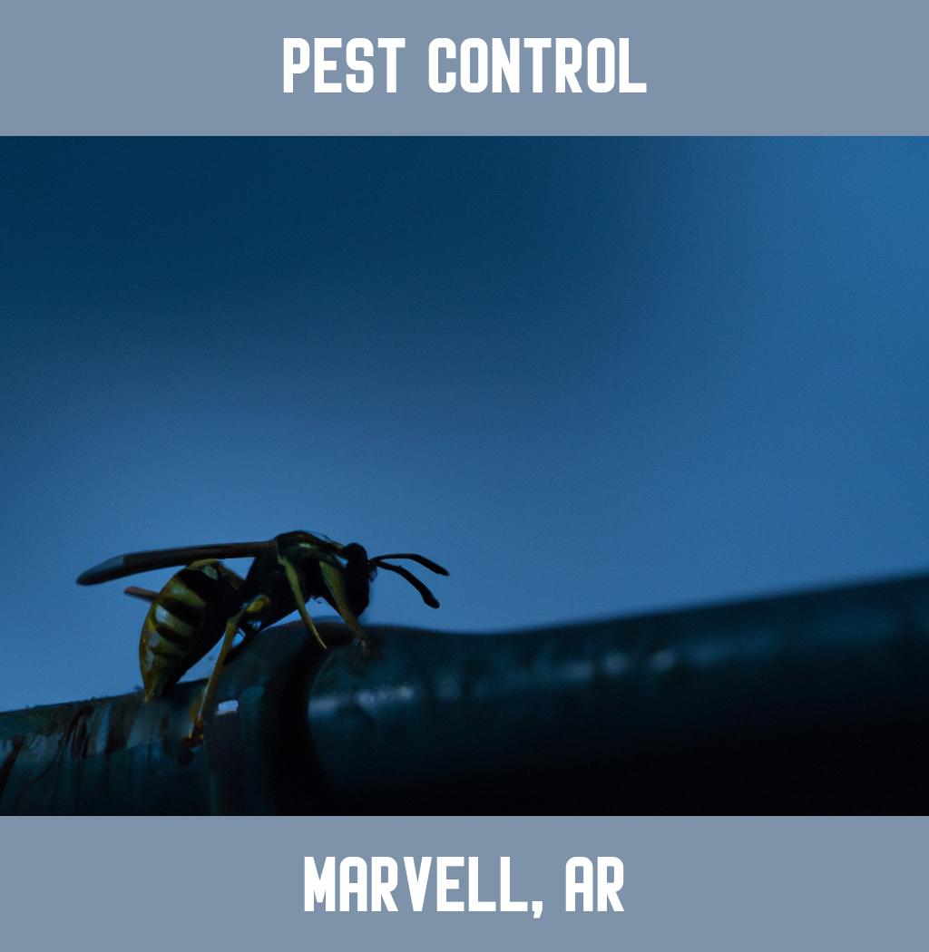 pest control in Marvell Arkansas