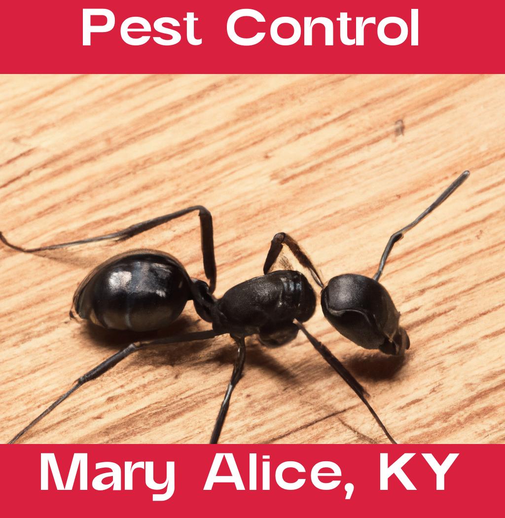 pest control in Mary Alice Kentucky