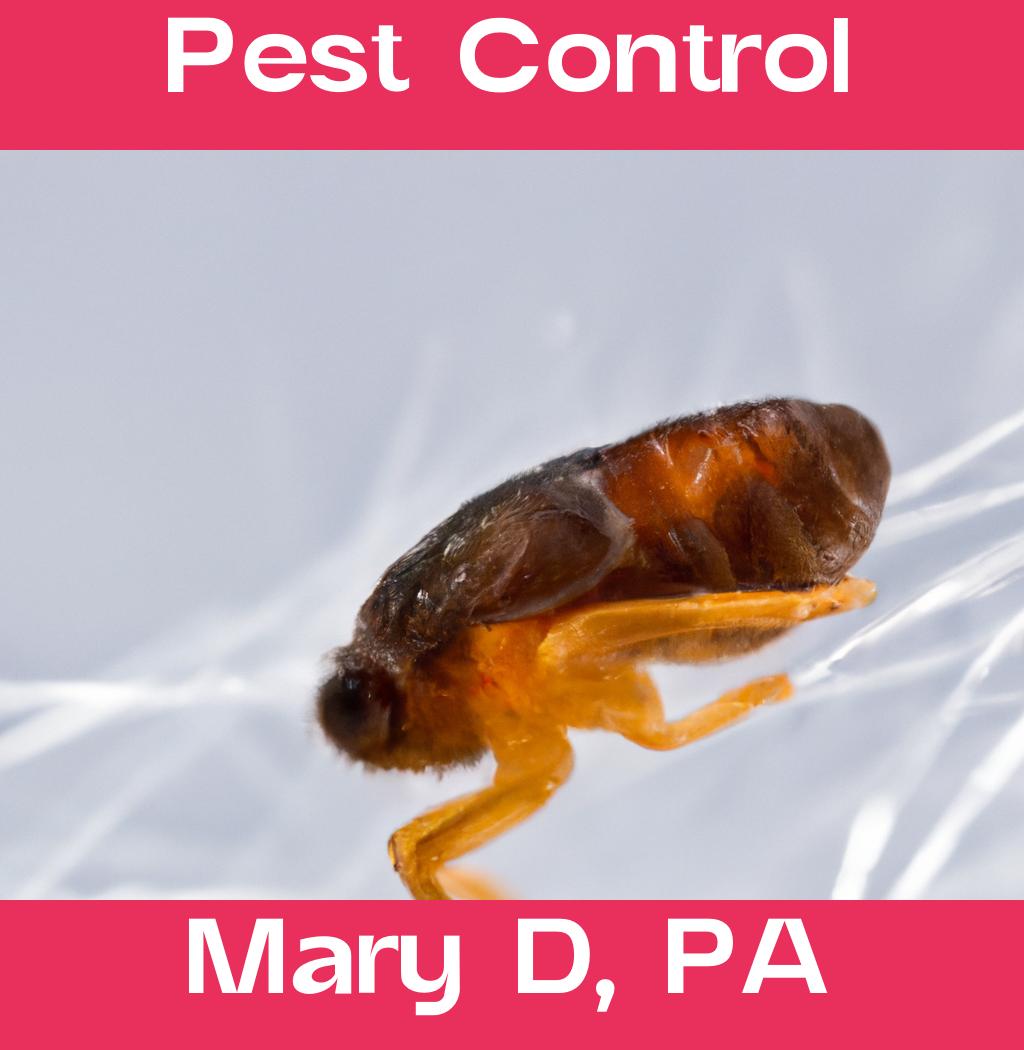 pest control in Mary D Pennsylvania