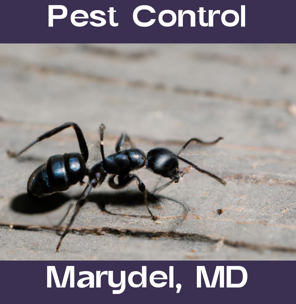 pest control in Marydel Maryland