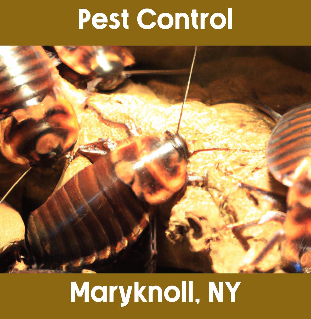 pest control in Maryknoll New York