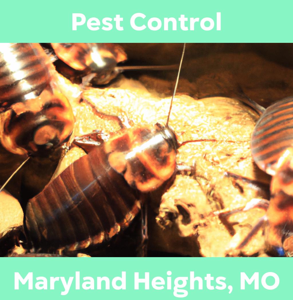 pest control in Maryland Heights Missouri