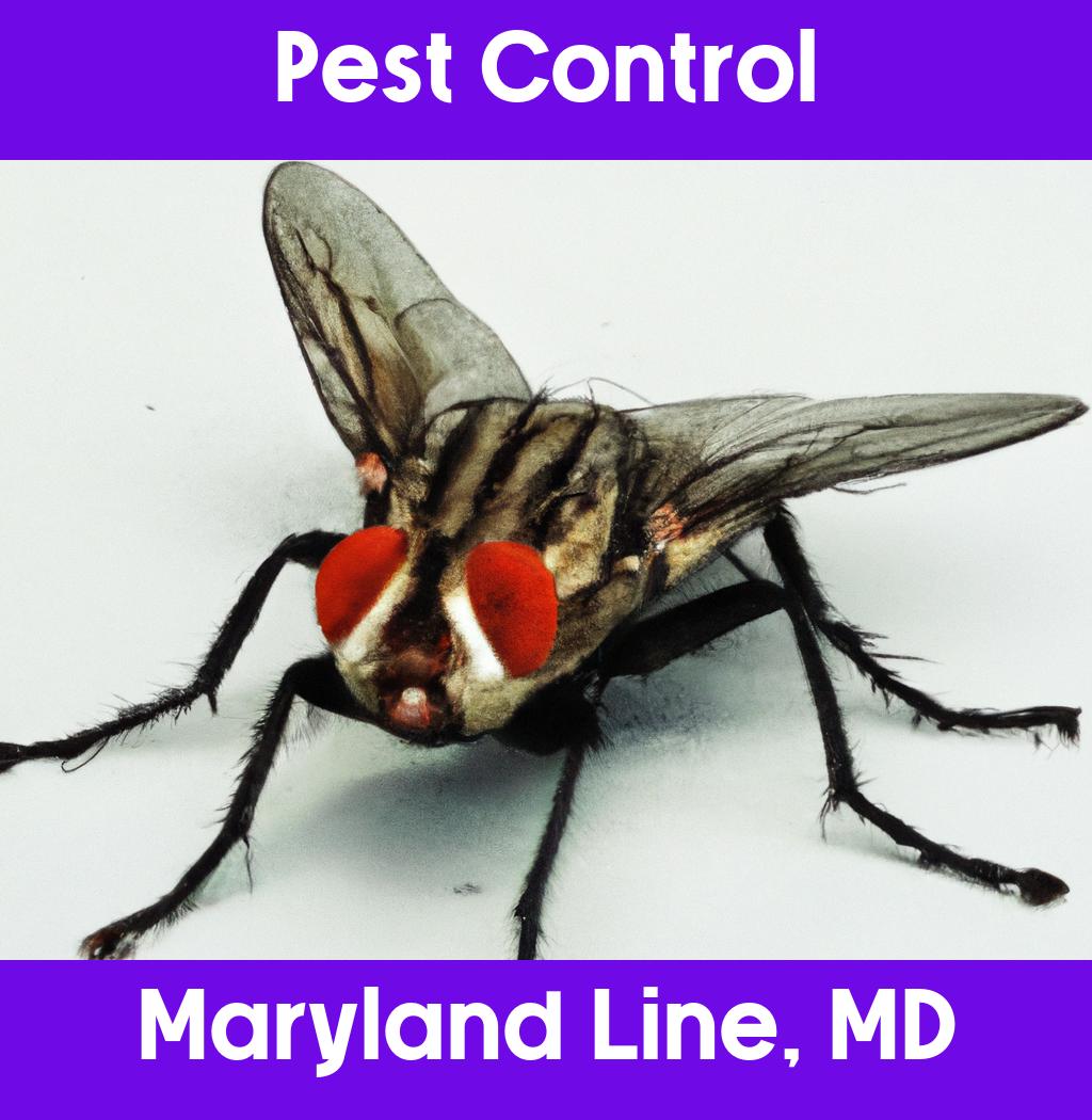 pest control in Maryland Line Maryland