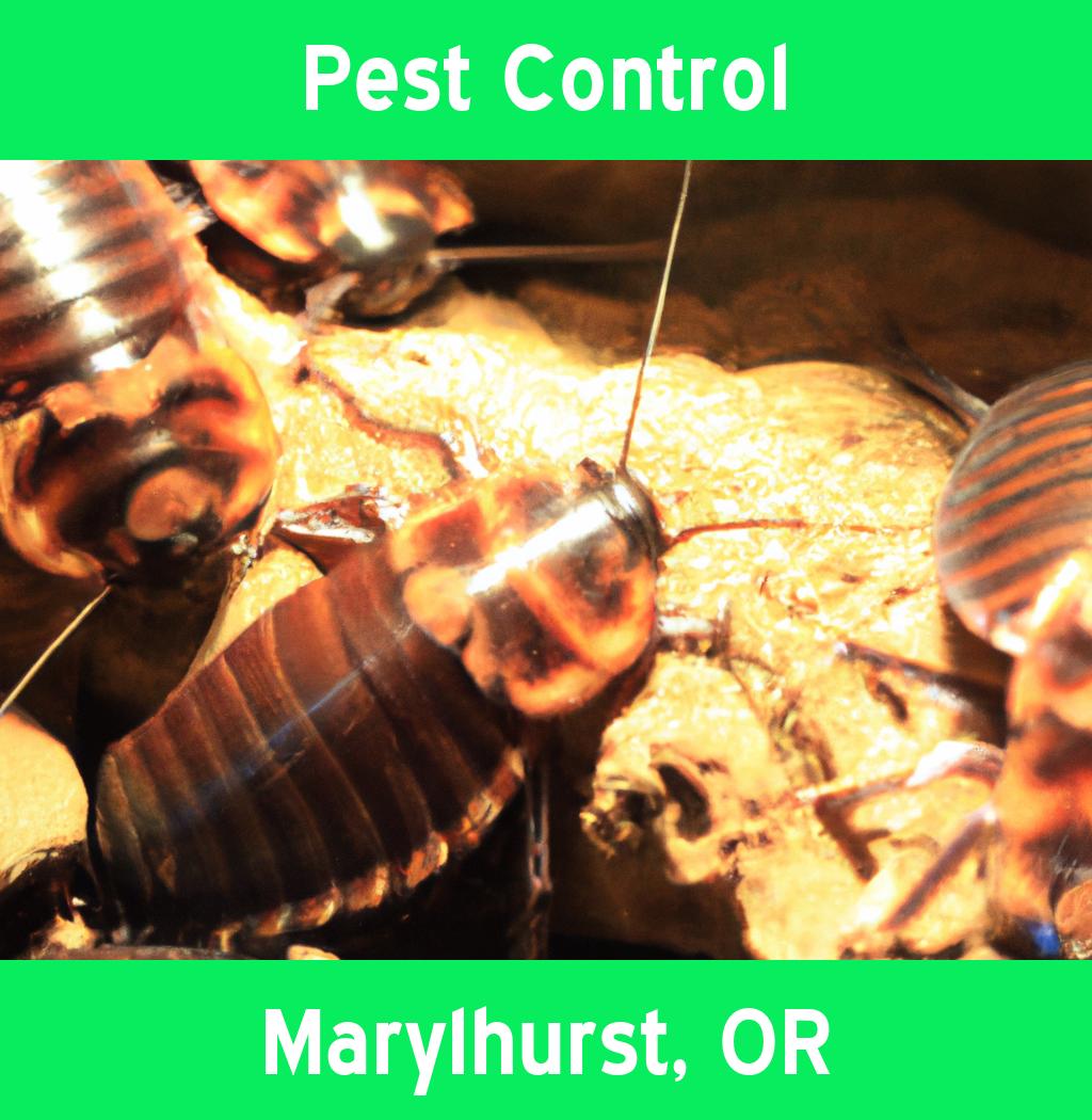 pest control in Marylhurst Oregon