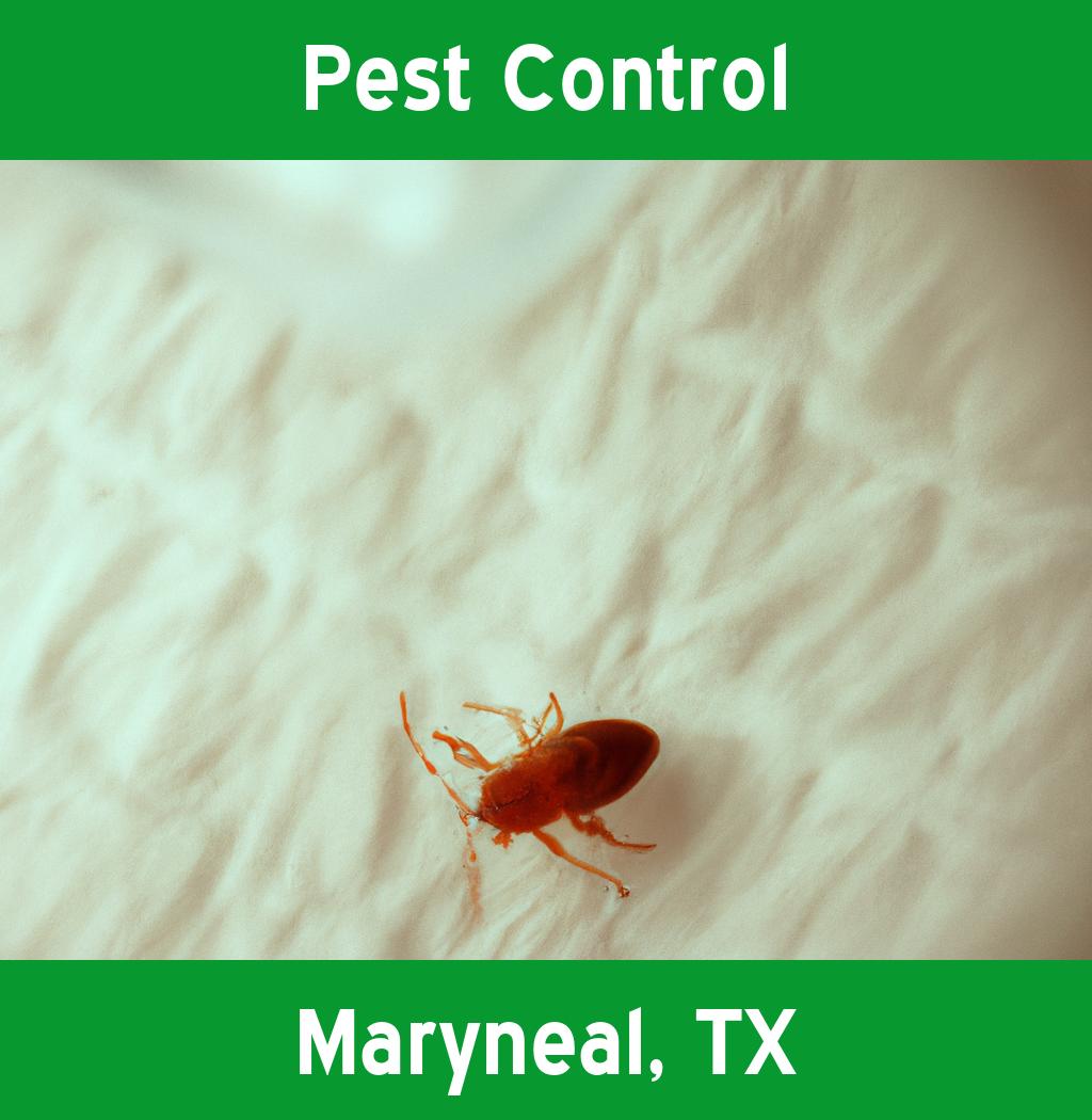 pest control in Maryneal Texas