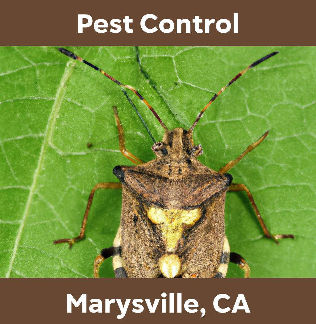 pest control in Marysville California