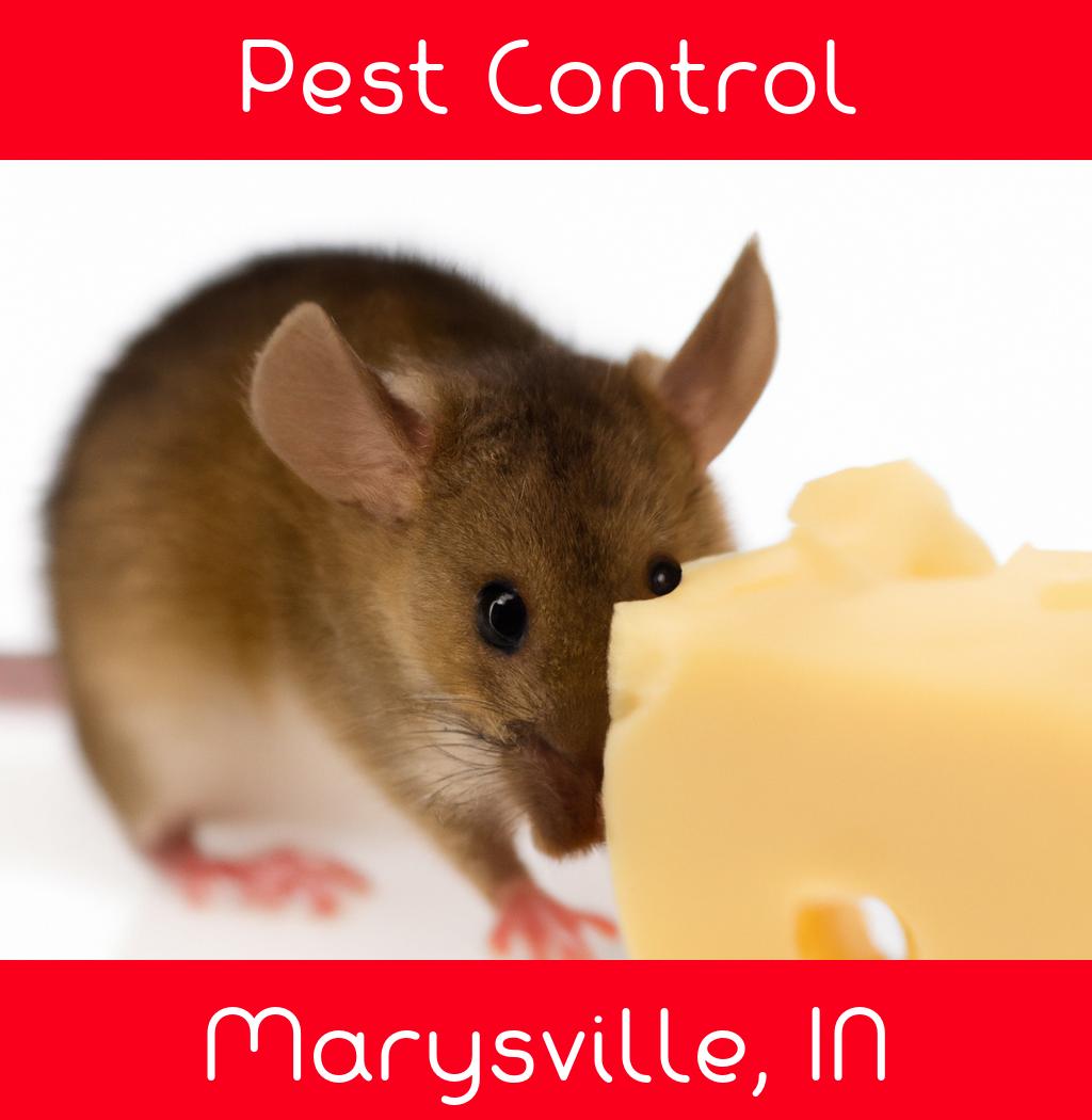 pest control in Marysville Indiana