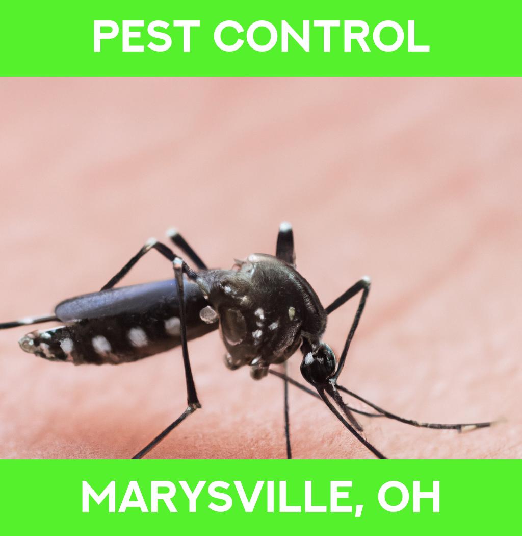 pest control in Marysville Ohio