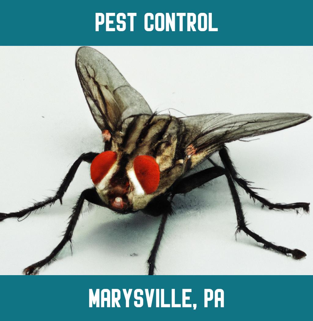 pest control in Marysville Pennsylvania