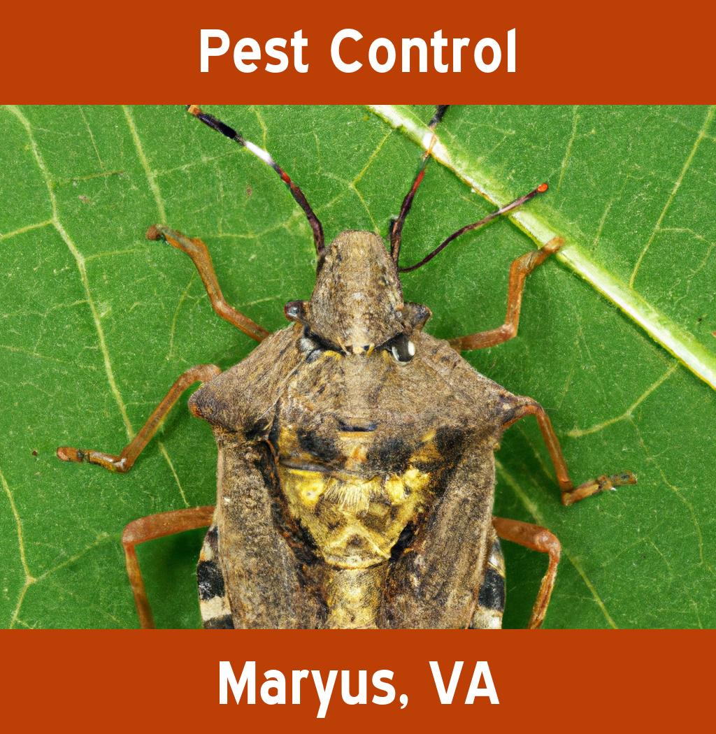 pest control in Maryus Virginia
