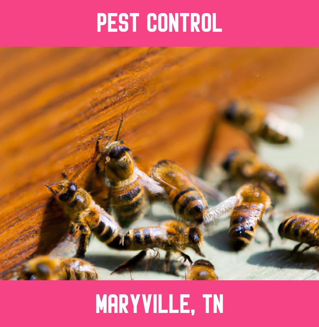 pest control in Maryville Tennessee