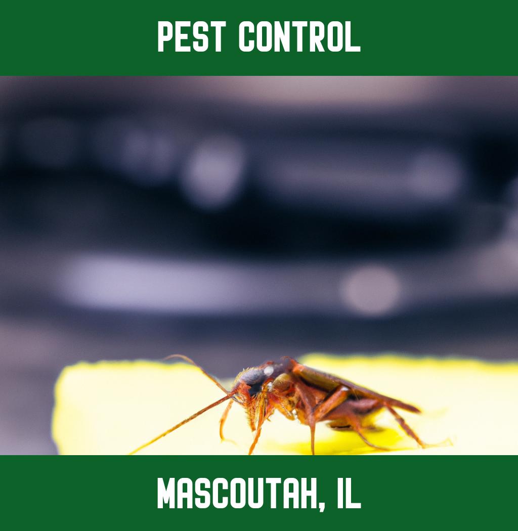 pest control in Mascoutah Illinois