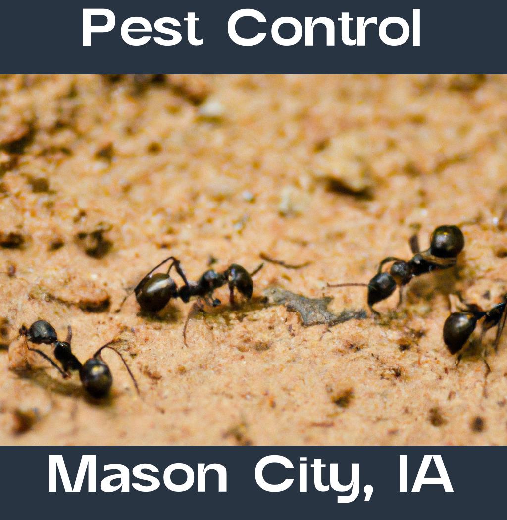 pest control in Mason City Iowa