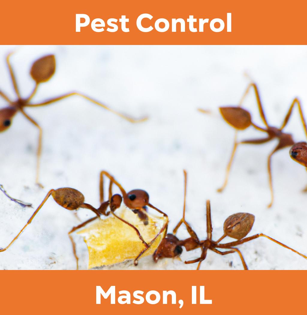 pest control in Mason Illinois