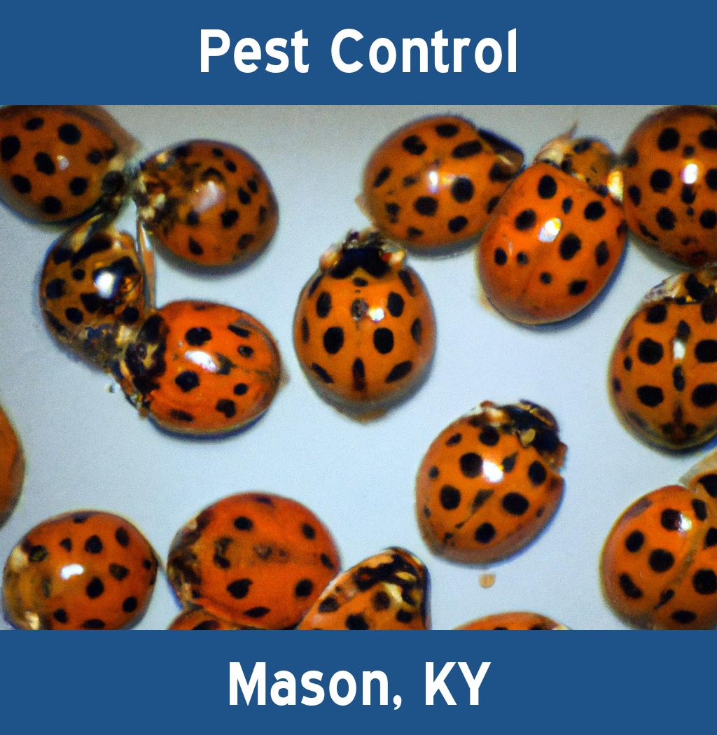 pest control in Mason Kentucky