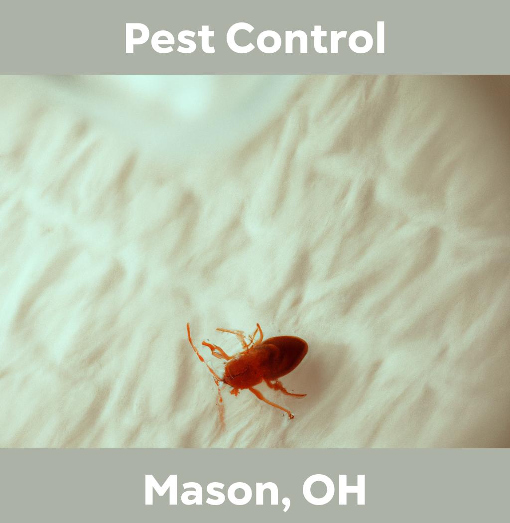 pest control in Mason Ohio