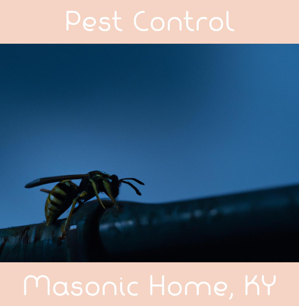 pest control in Masonic Home Kentucky