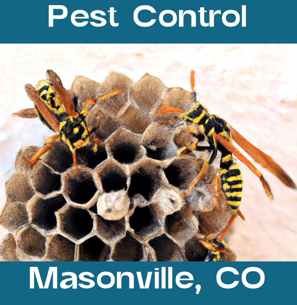 pest control in Masonville Colorado