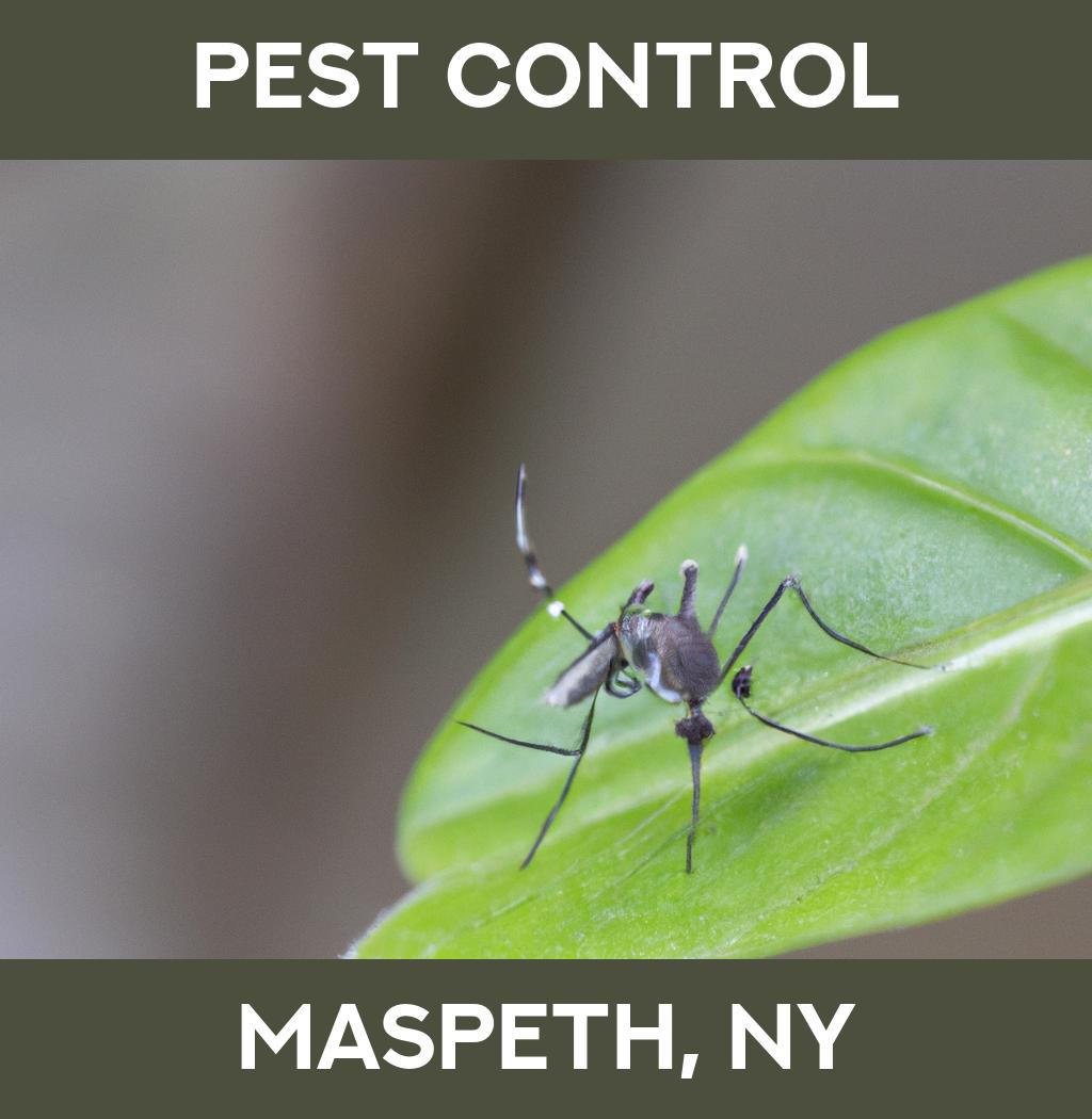 pest control in Maspeth New York