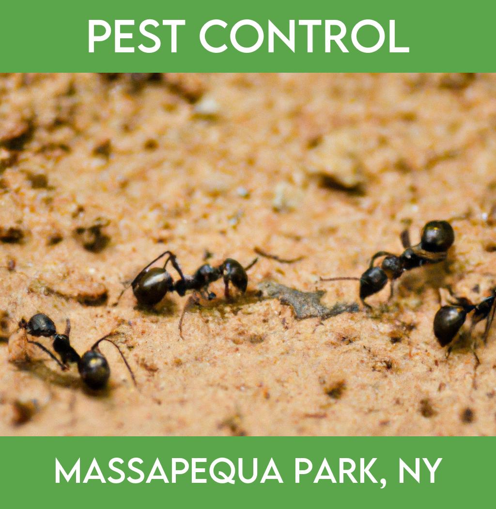 pest control in Massapequa Park New York