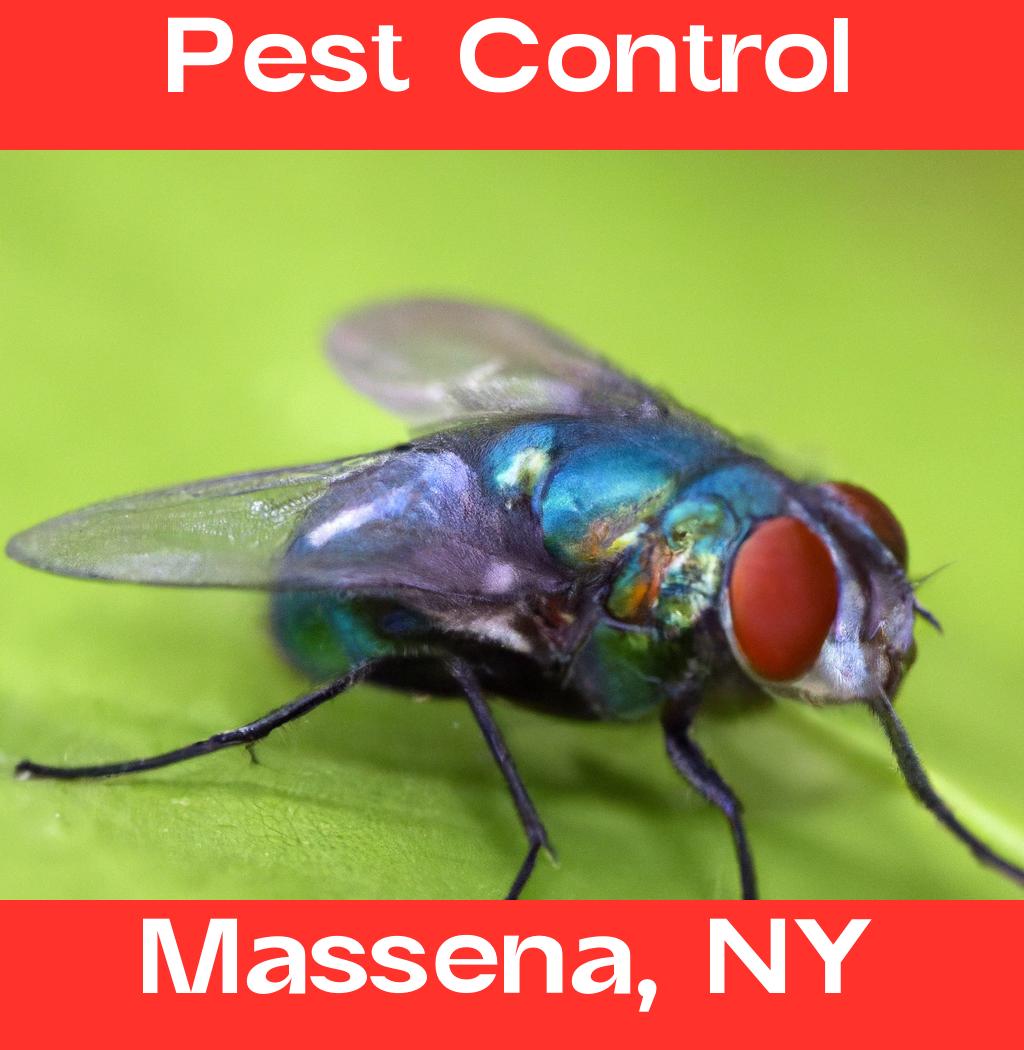 pest control in Massena New York