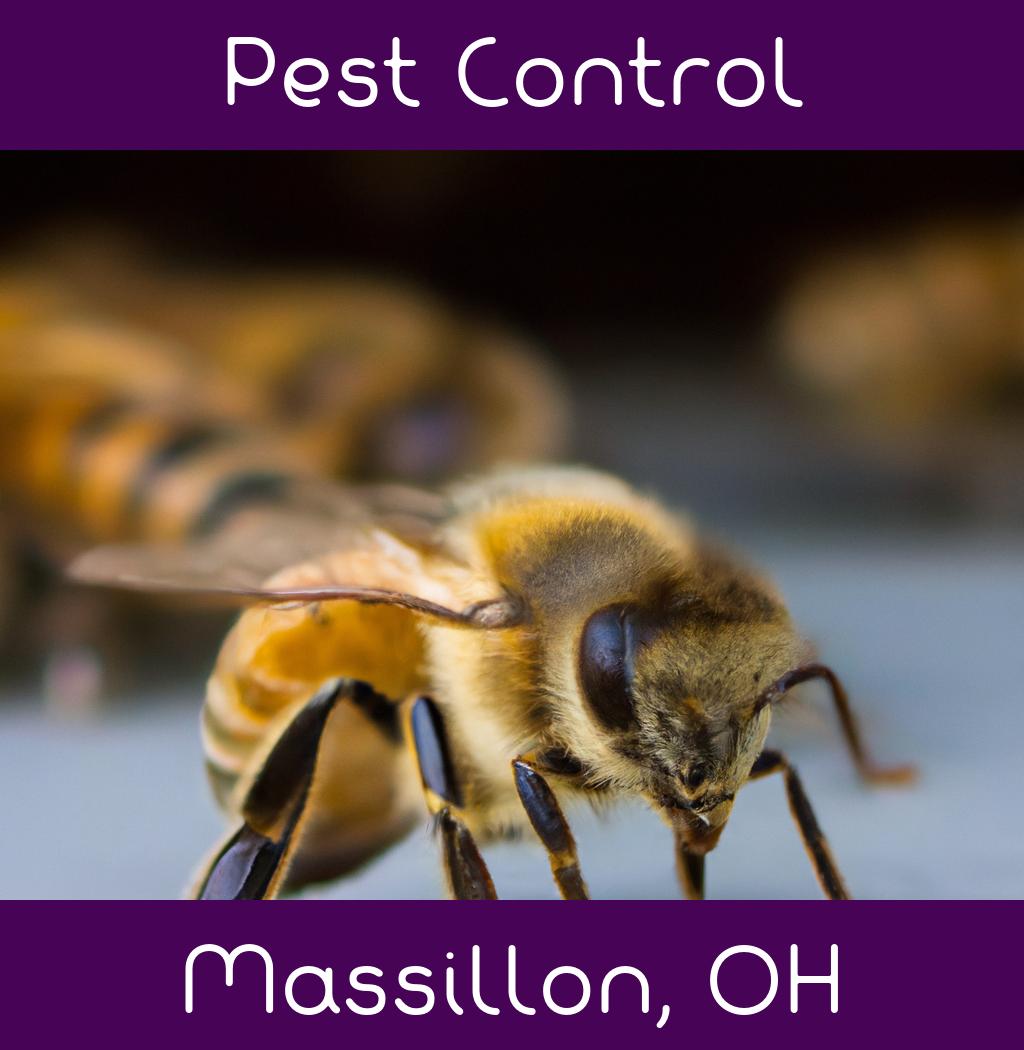 pest control in Massillon Ohio
