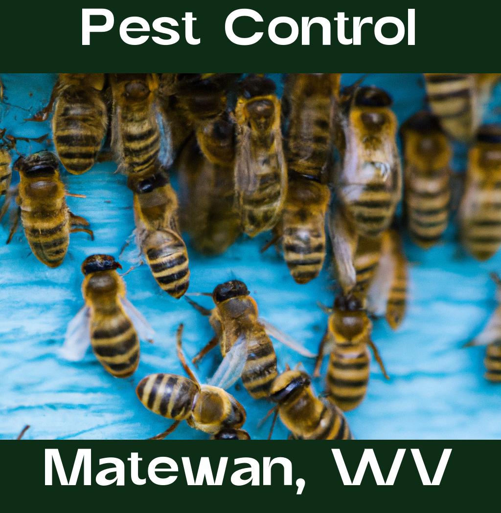 pest control in Matewan West Virginia