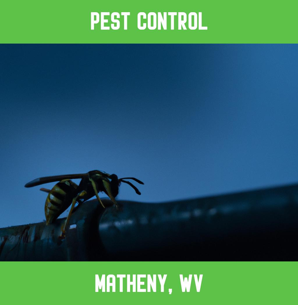 pest control in Matheny West Virginia