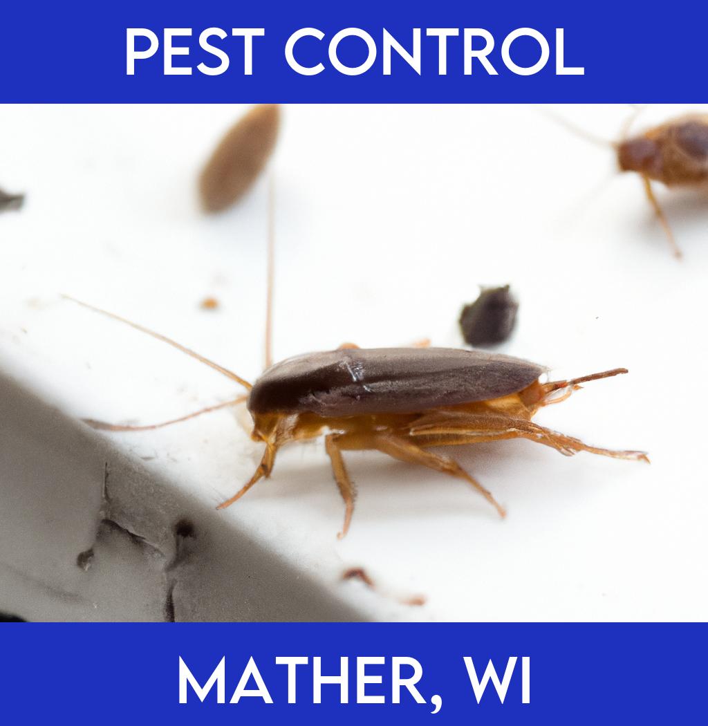 pest control in Mather Wisconsin