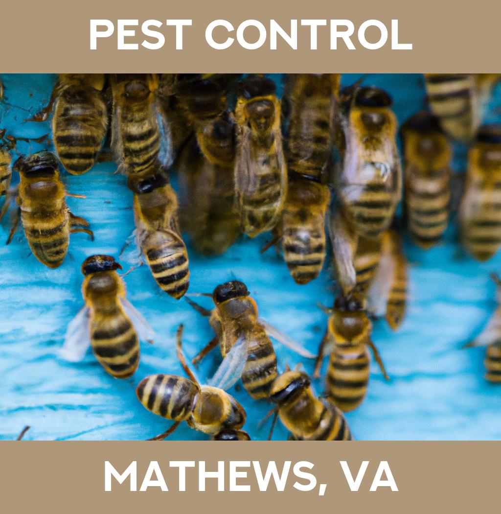 pest control in Mathews Virginia